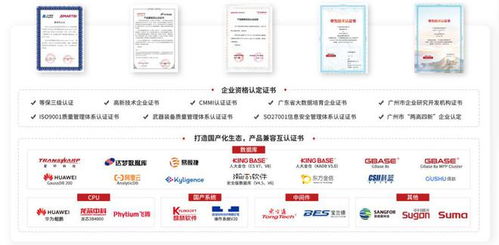 持續(xù)加強(qiáng)國(guó)產(chǎn)信創(chuàng)建設(shè) 思邁特軟件與SelectDB完成兼容互認(rèn)證，夯實(shí)基礎(chǔ)軟件服務(wù)