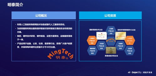 借助活字格低代碼開(kāi)發(fā)平臺(tái) 激發(fā)自主成長(zhǎng)能力的基礎(chǔ)軟件服務(wù)